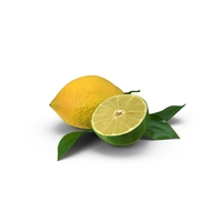 Lemon and Sliced Lime PNG & PSD Images