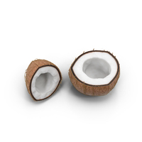 Coconut Cross Section PNG & PSD Images
