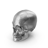 Chrome Skull PNG & PSD Images