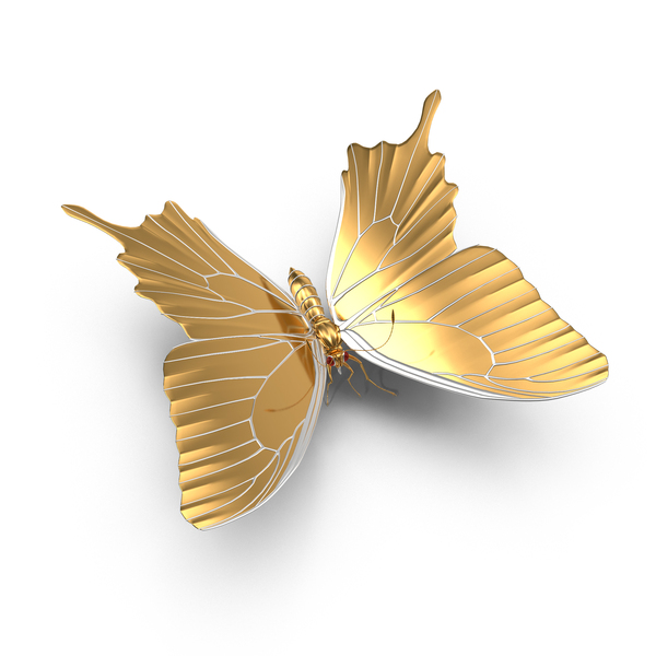 金色蝴蝶PNG和PSD图像