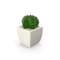 Potted Succulent Plant PNG & PSD Images
