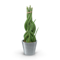 Potted Woven Plant PNG & PSD Images