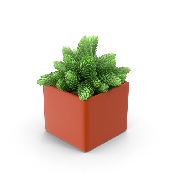 Green Cones in Red Pot PNG & PSD Images