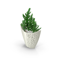 Cactus in Pot PNG & PSD Images