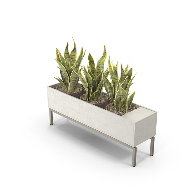 Standing Planter PNG & PSD Images
