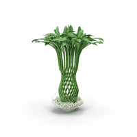 Woven Bamboo Houseplant PNG & PSD Images
