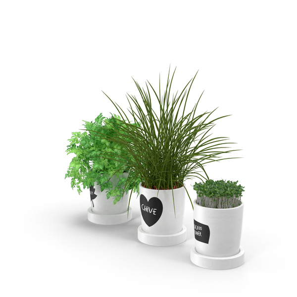 Herbs in Pots PNG & PSD Images