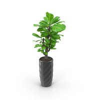 Small Tree in Mirrored Pot PNG & PSD Images