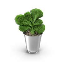 Plant in Silver Planter PNG & PSD Images