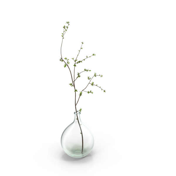 Vase with Single Branch PNG & PSD Images