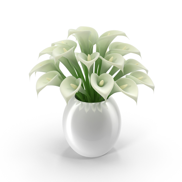 White Calla Lilies in Vase PNG & PSD Images