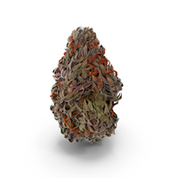 Marijuana Buds PNG & PSD Images