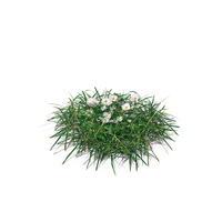Patch of Grass and Flowers PNG & PSD Images