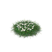 Patch of Grass and Flowers PNG & PSD Images