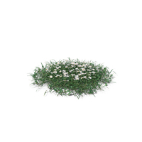 Simple Grass Large PNG & PSD Images
