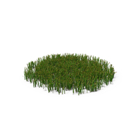 Simple Grass Medium PNG & PSD Images