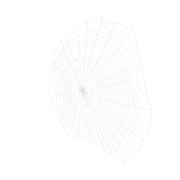 Spider Web PNG & PSD Images