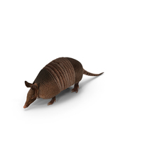 Armadillo PNG & PSD Images
