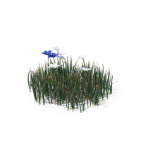 Simple Grass (Small) PNG & PSD Images