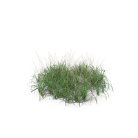 Simple Grass PNG & PSD Images