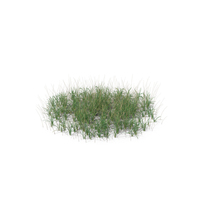 Simple Grass (Large) PNG & PSD Images