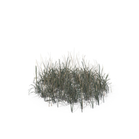 Simple Grass (Medium) PNG & PSD Images