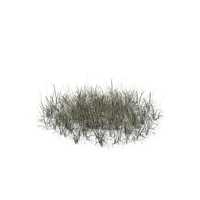 Simple Grass PNG & PSD Images