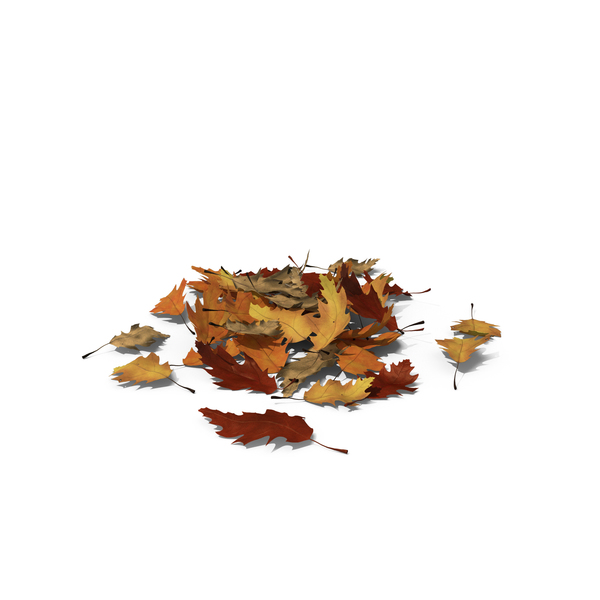 Small Pile of Oak Leaves PNG & PSD Images