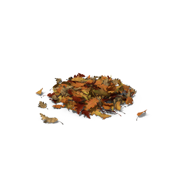 Large Pile of Oak Leaves PNG & PSD Images