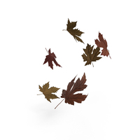 Floating Maple Leaves PNG & PSD Images