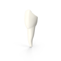 Canine Tooth PNG & PSD Images