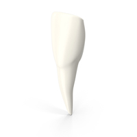 Incisor Tooth PNG & PSD Images