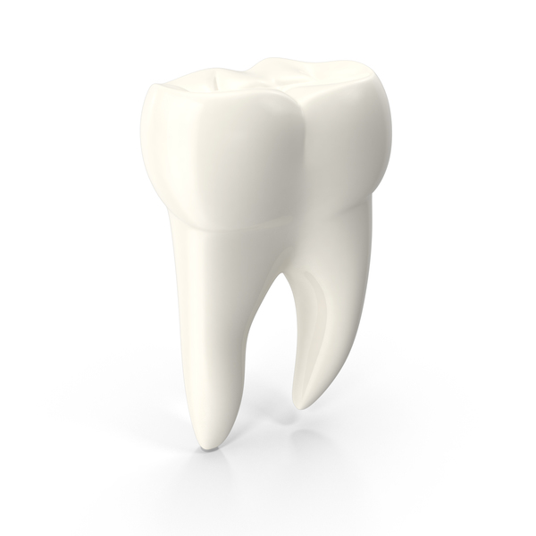 Molar Tooth PNG & PSD Images