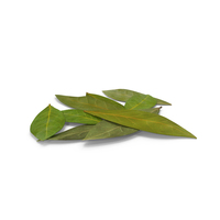 Bay Leaves PNG & PSD Images