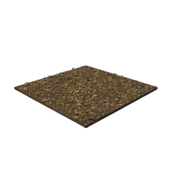 Dirt and Leaf Background PNG & PSD Images