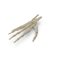 Skeletal Hand PNG & PSD Images