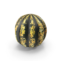 Gourd PNG & PSD Images