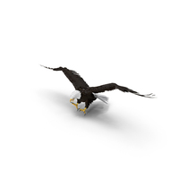 Bald Eagle Attacking PNG & PSD Images