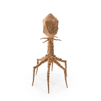 Bacteriophage PNG & PSD Images