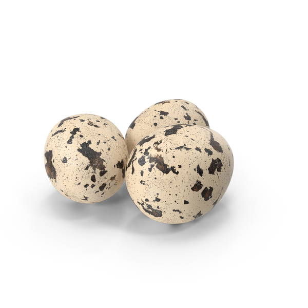 Quail Eggs PNG & PSD Images
