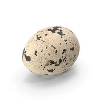 Quail Egg PNG & PSD Images