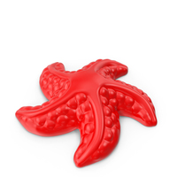 Starfish Mold Sand Toy PNG & PSD Images