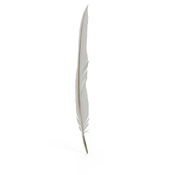 Feather PNG & PSD Images