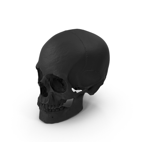 Rubber Skull PNG & PSD Images