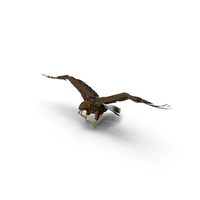 Golden Eagle Attacking PNG & PSD Images