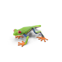 Red Eyed Tree Frog PNG & PSD Images
