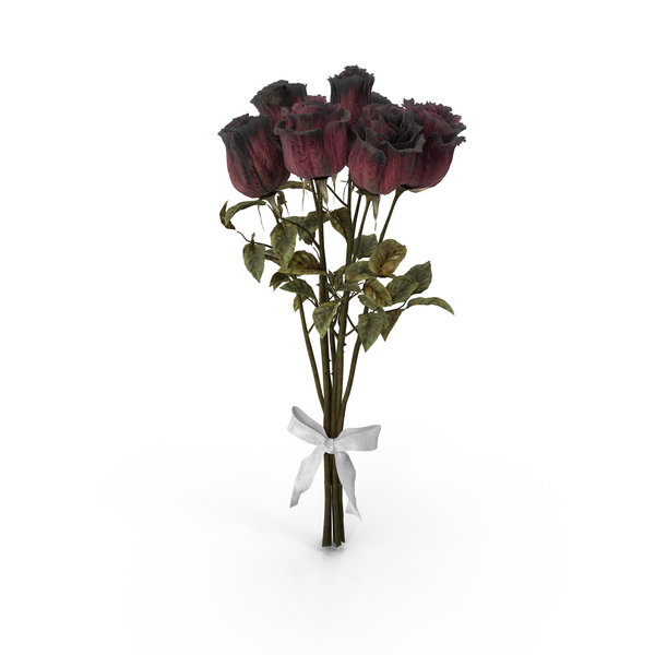 Bouquet of Dried Roses PNG & PSD Images