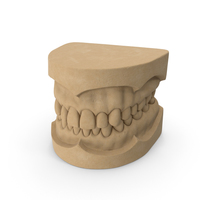Dental Mold PNG & PSD Images