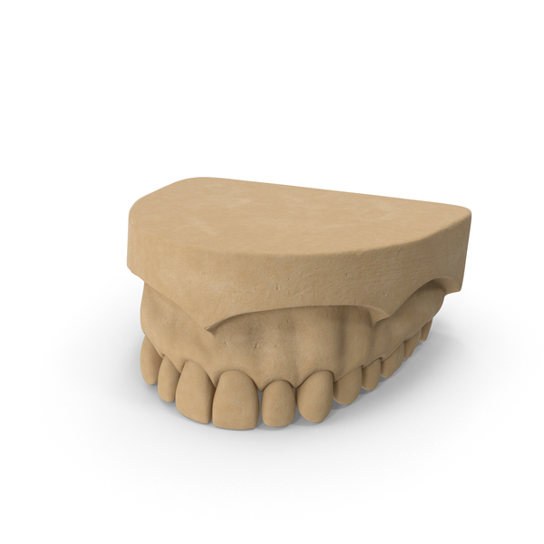 Dental Mold PNG & PSD Images