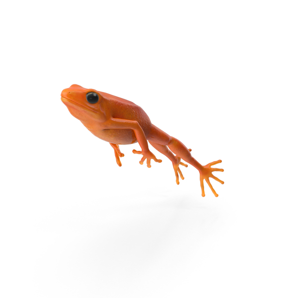 Mantella Frog PNG & PSD Images